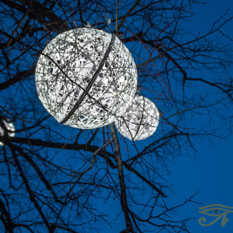 Fruits de lumière