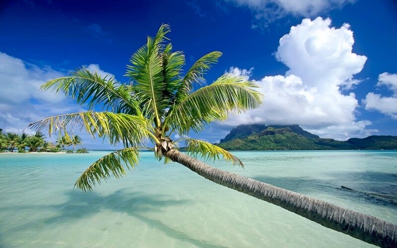 Location-de-bateau-Destinations-exotiques5629f152cc45c