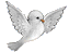 79874604_p.gif