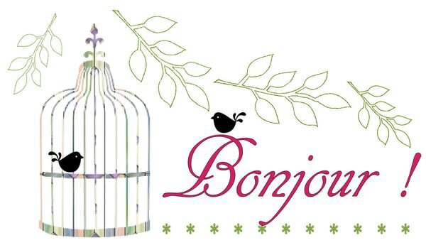 bonjour shabby