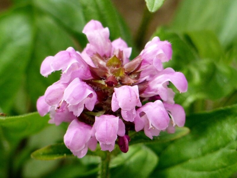 P1050996