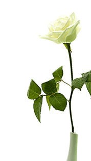 fleur