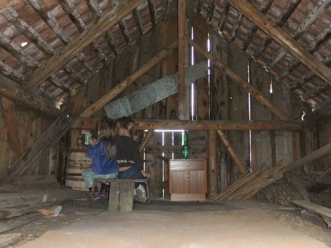 année photo 20111105