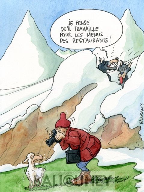 LE LOUP