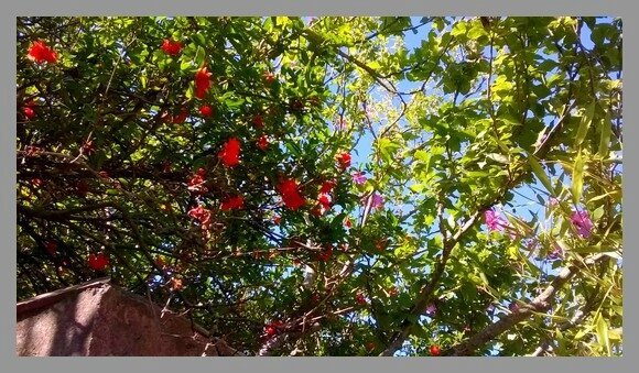 WP_20170616_10_40_00_Pro