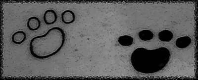 noirblanc
