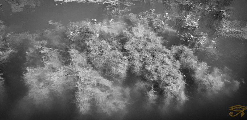 Entre le ciel et l'eau