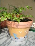 Photo_090