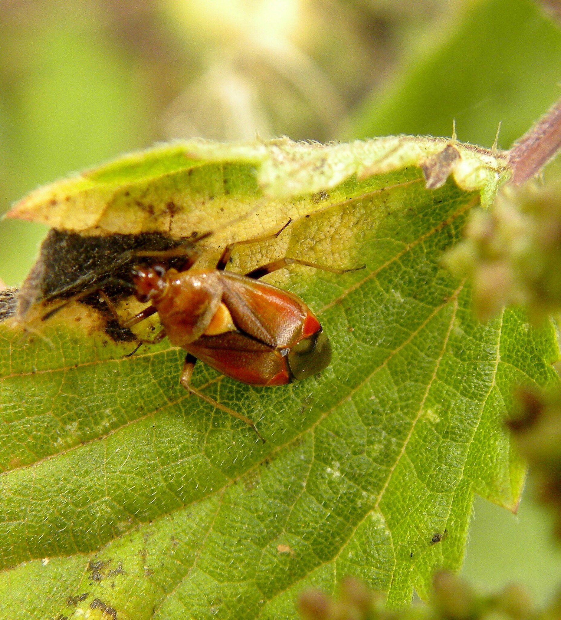 nous méritons tous nos rencontres
