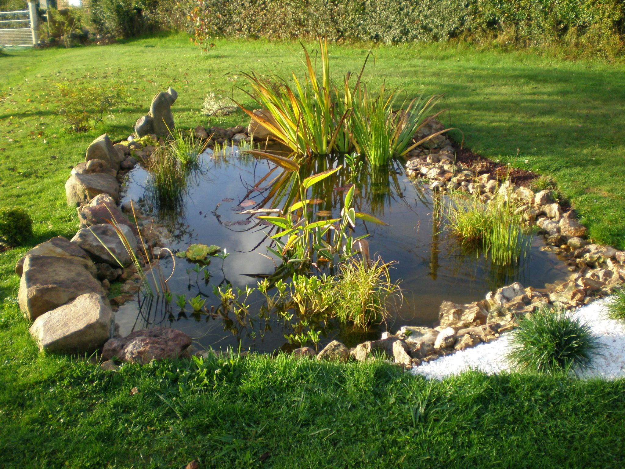 bassin ornement jardin
