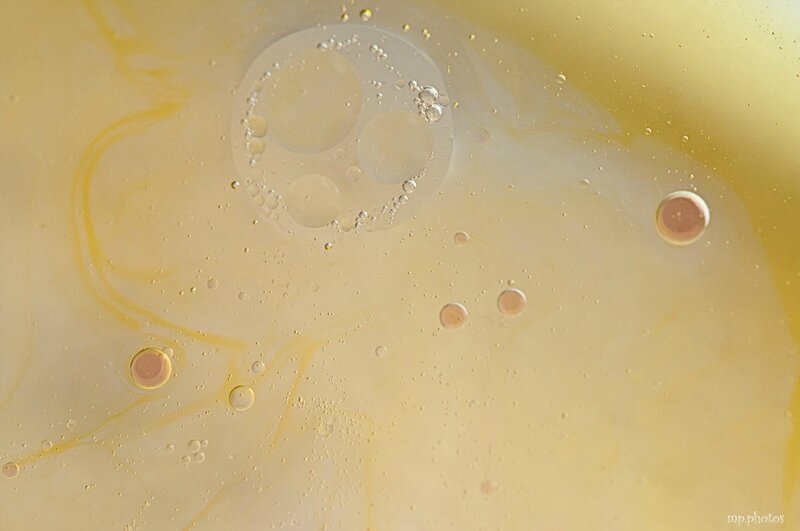 _DSC0405