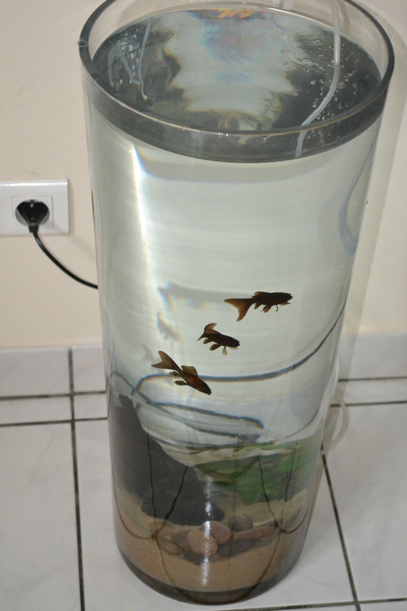 Aquarium déco et pas cher bibiloustig