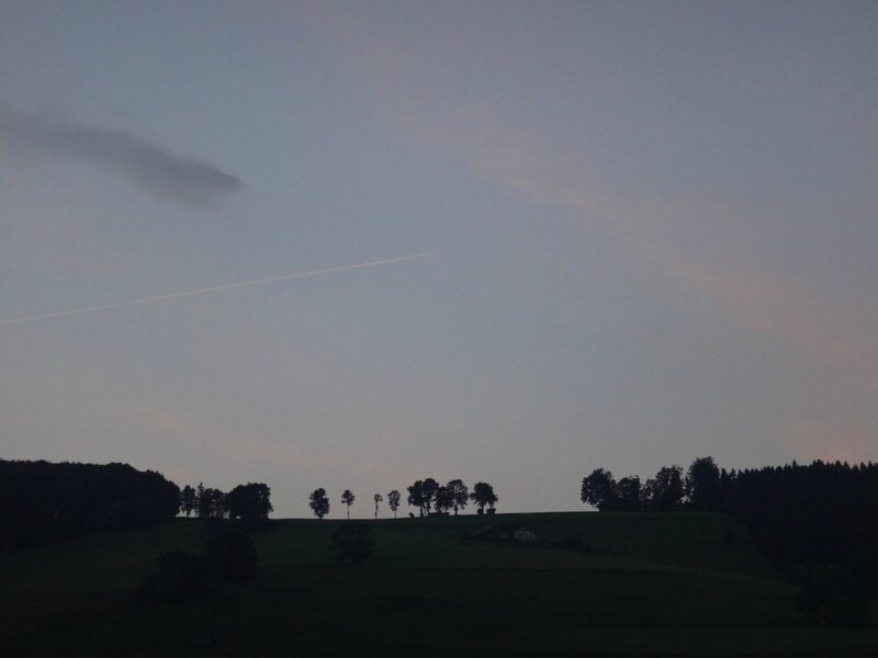 DSC01526