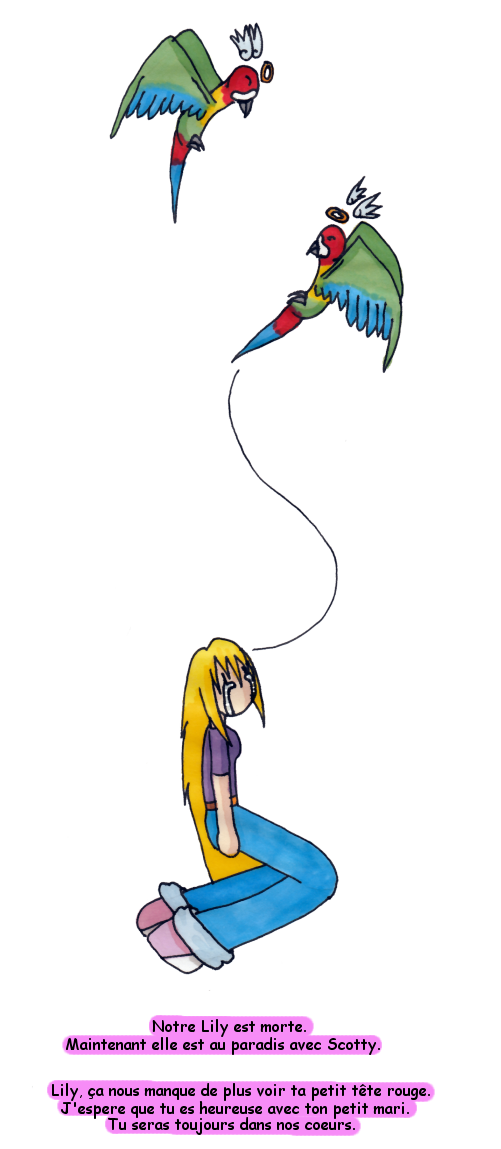 lily