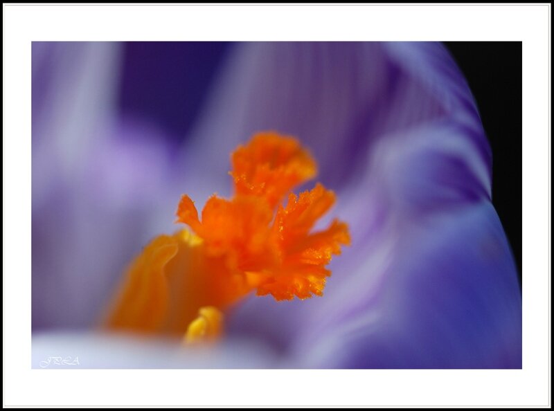 14 03 07 14 02 26 105macro 9012 c