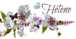 nvelle signature blog 10 2014