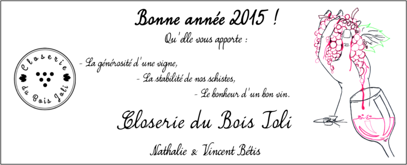 Voeux_2015