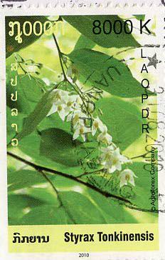 5a