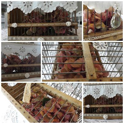 Conserves & jardin (24)