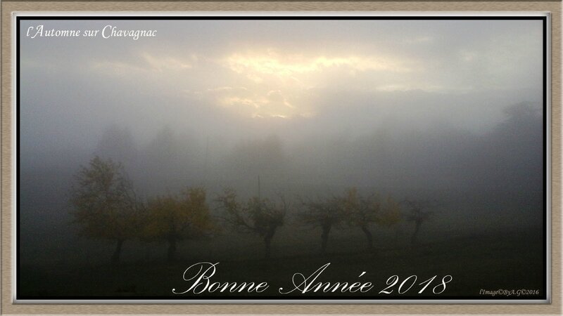 20161109_165123ba-Récupéré