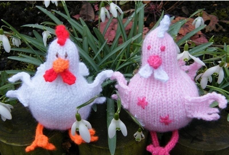 tricoter une poule