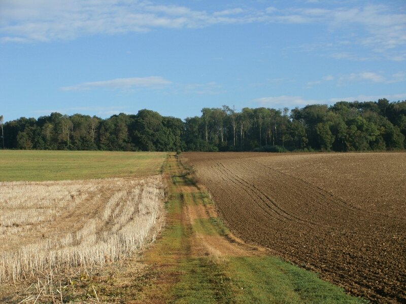 Vers Chalautre la Petite