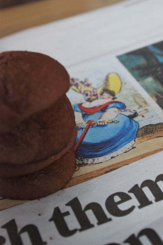 Biscuits cacao anis