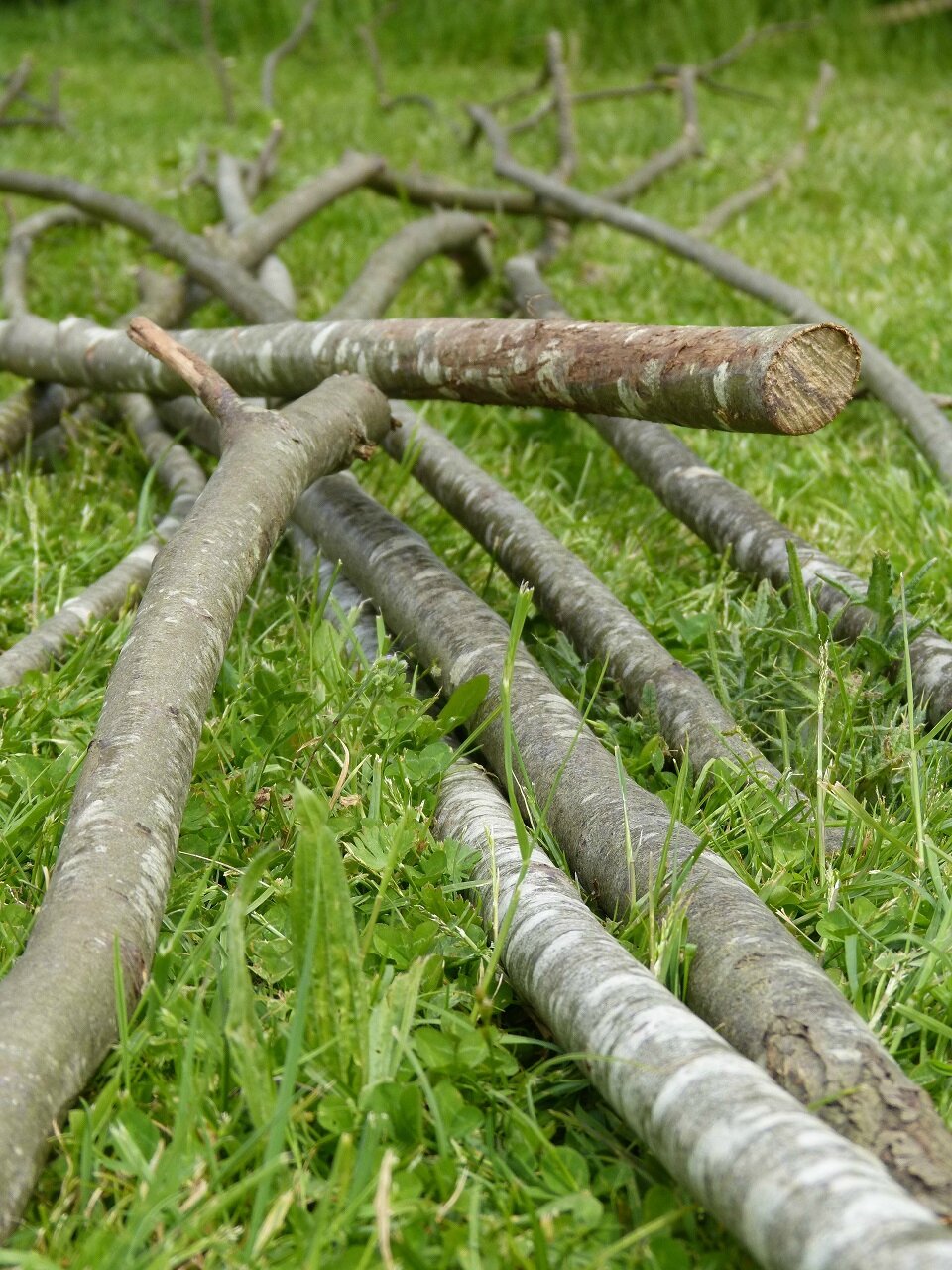 Une serre de jardin diy... machinchoz...