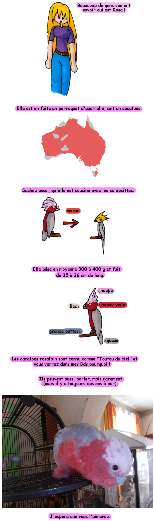 rosapresentation