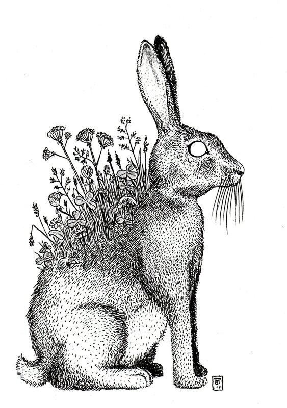lapin666