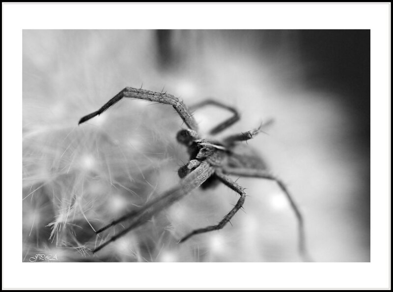 14 04 15 14 04 01 105macro 9741 b