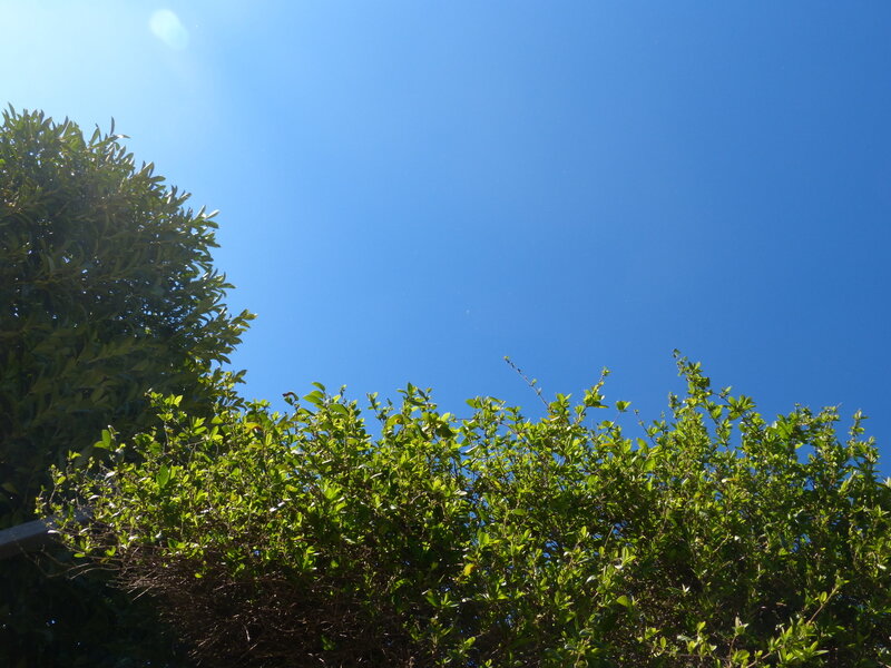 P1050558