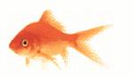 Poisson