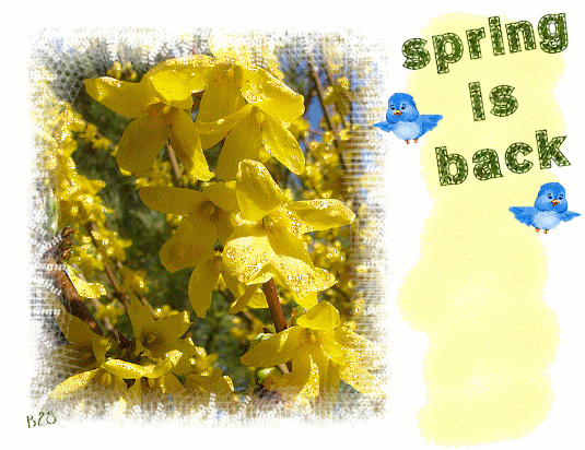 spring44