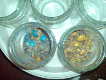 DSC00653