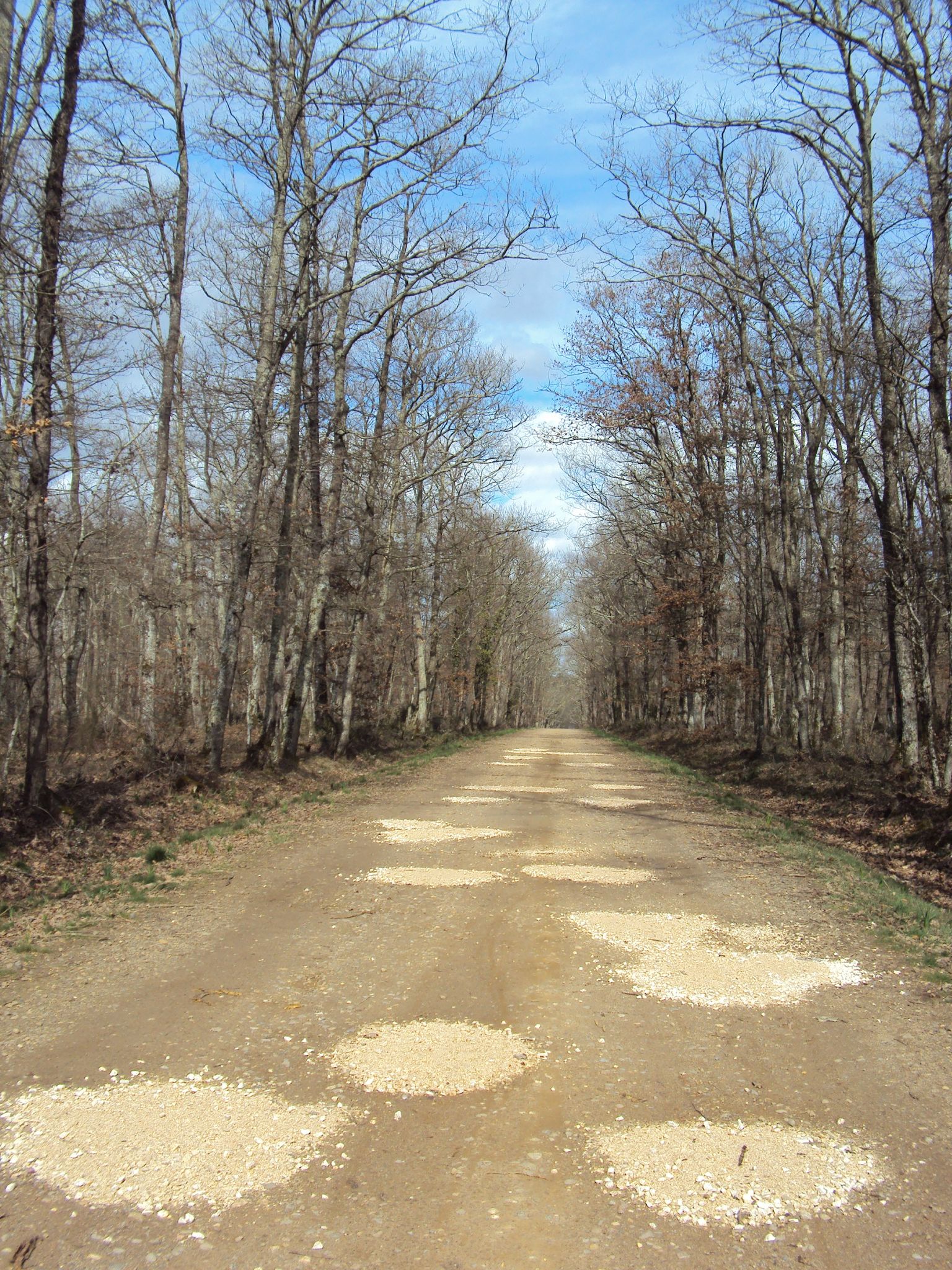 Rencontres foret de bouconne