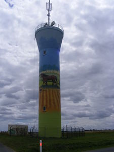 DSCF1307