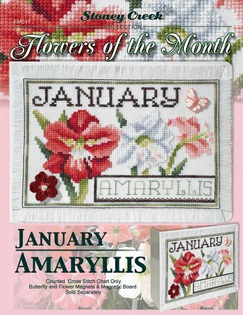 flowers of the month - january
