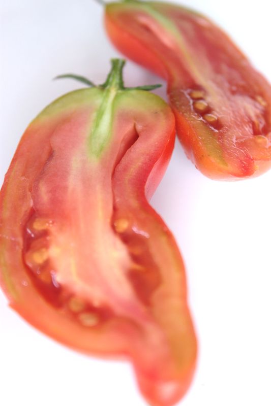 Tomate cornue des Andes