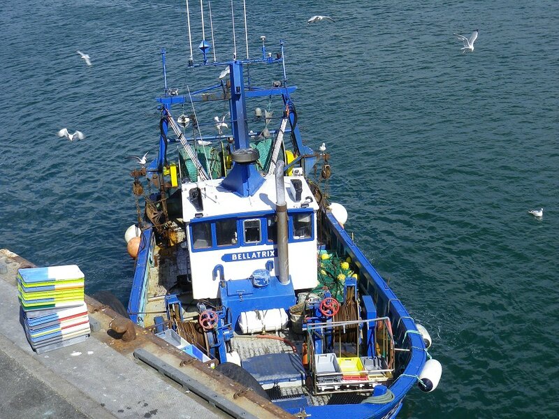 La chasse et la pêche sur enisee en ligne