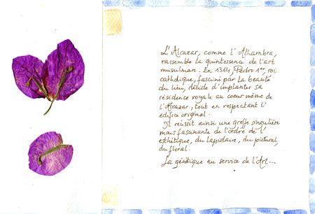 Copie_de_scan319