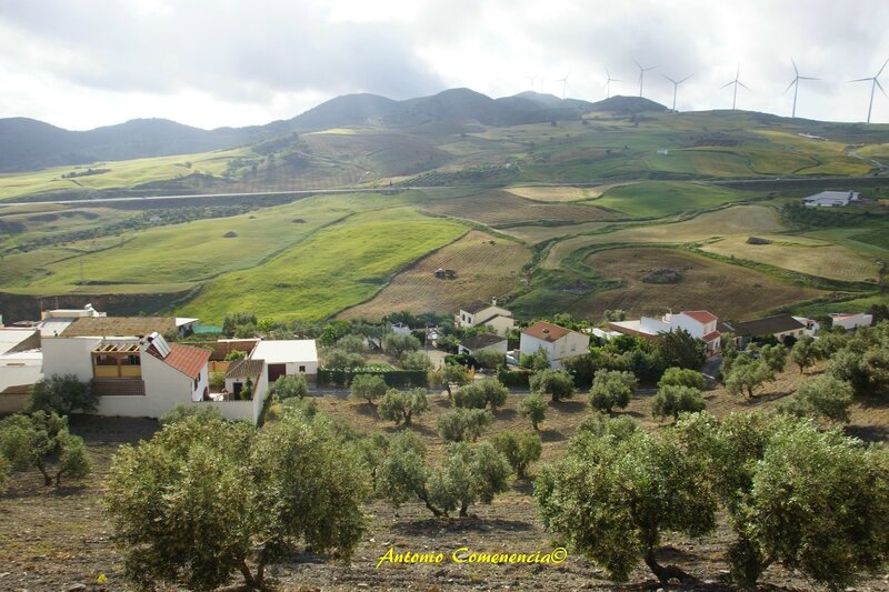 Ardales