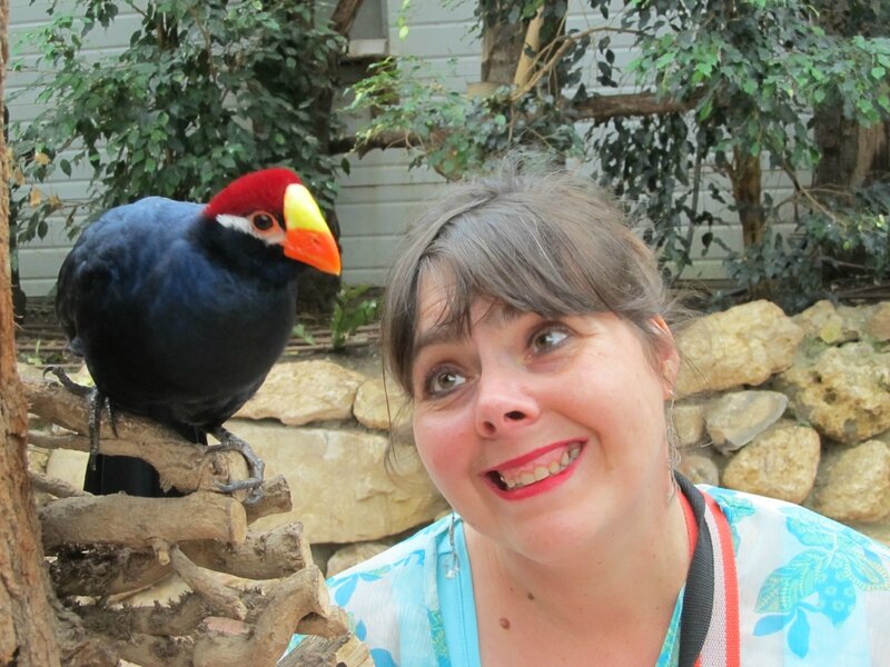 Rencontre 1 jour