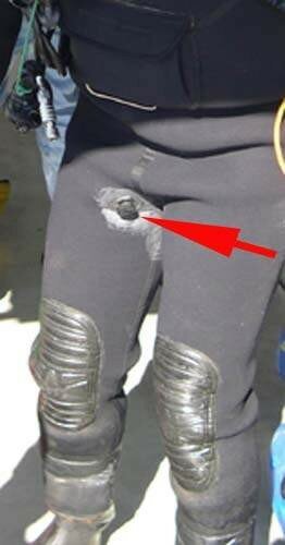 photo pipi culotte