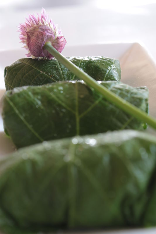 Feuille de tilleul farcies