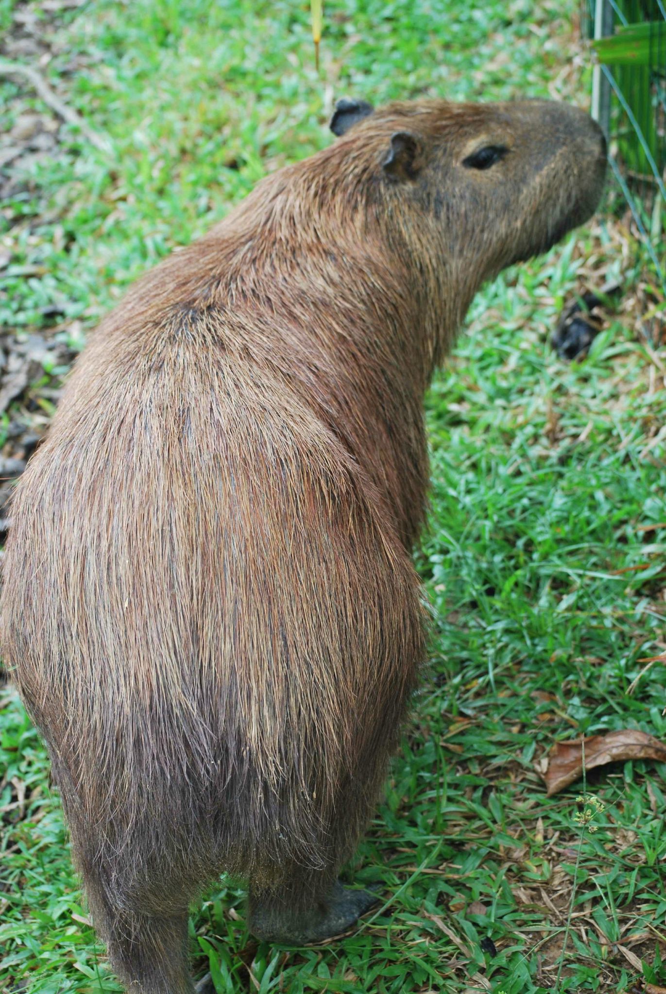 rencontre en guyane francaise