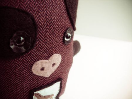 cochon_zoom_3