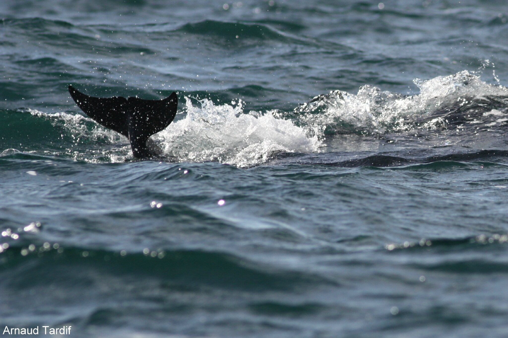 Rencontre finistere sans inscription