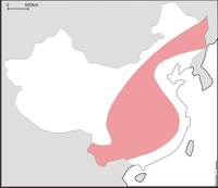 La Chine de l'Intérieur La Chine de l'Intérieur