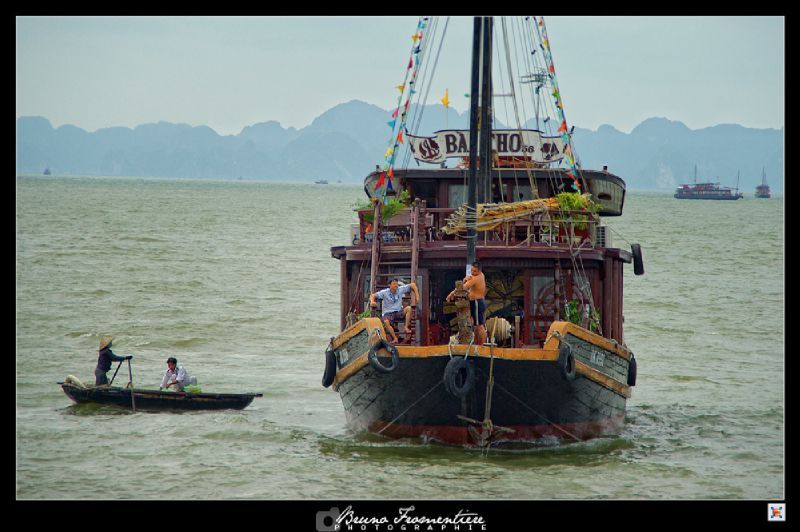 Halong 3